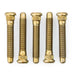 ARP ARP Wheel Studs 100-7716 Autofit