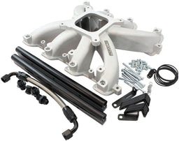 Automotive Fittings GM LS Cathedral Port Carburettor Street Single Plane EFI Intake Manifold, Natural Cast Finish GM LS Cathedral Port Carburettor Street Single Plane EFI Intake Manifo Autofit