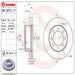 Brembo Brembo Premium UV Coated Brake Rotors 09.D272.10 Autofit