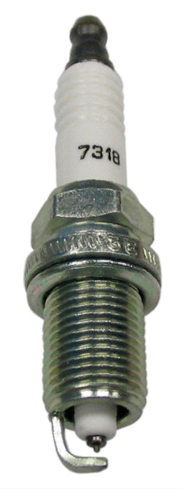 Champion Spark Plugs Champion Double Platinum Power Spark Plugs 7318 Autofit