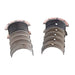 Clevite Engine Parts Clevite AL-Series Main Bearings MS-2208A Autofit