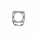 Cometic Powersport Gaskets Cometic Gasket Cylinder Base Gaskets B0895020F Autofit
