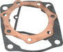 Cometic Powersport Gaskets Cometic Powersport Gaskets Powersports Gasket Kits C7018 Autofit