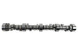 COMP Cams COMP Cams LST Series Solid Roller Camshafts 54-317-11 Autofit