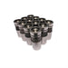 COMP Cams COMP Cams Performance Lash Adjusters 84032-24 Autofit
