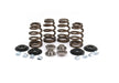 COMP Cams COMP Cams Powersports Valvetrain Kits 9706-KIT Autofit