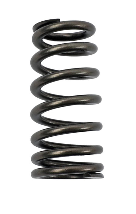 COMP Cams COMP Cams Valve Springs 26113-1 Autofit