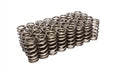 COMP Cams COMP Cams Valve Springs 26123-32 Autofit