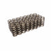 COMP Cams COMP Cams Valve Springs 26125-32 Autofit