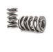 COMP Cams COMP Cams Valve Springs 26527-16 Autofit