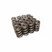 COMP Cams COMP Cams Valve Springs 26580-16 Autofit