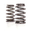 COMP Cams COMP Cams Valve Springs 26906-1 Autofit