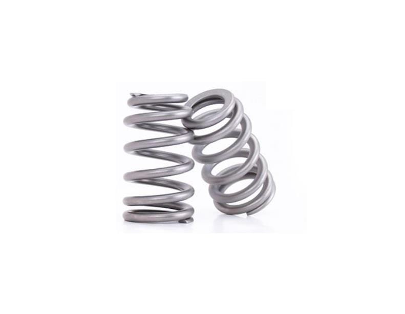 COMP Cams COMP Cams Valve Springs 26918-16 Autofit