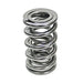 COMP Cams COMP Cams Valve Springs 26925-16 Autofit