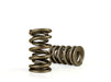 COMP Cams COMP Cams Valve Springs 26926-16 Autofit