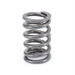 COMP Cams COMP Cams Valve Springs 26975-1 Autofit