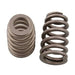 COMP Cams COMP Cams Valve Springs 26986-1 Autofit