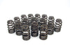 COMP Cams COMP Cams Valve Springs 26986-16 Autofit