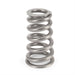 COMP Cams COMP Cams Valve Springs 7228-1 Autofit