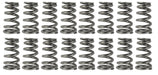 COMP Cams COMP Cams Valve Springs 7228-16 Autofit