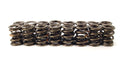 COMP Cams COMP Cams Valve Springs 917-16 Autofit