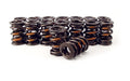 COMP Cams COMP Cams Valve Springs 919-16 Autofit