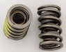 COMP Cams COMP Cams Valve Springs 924-16 Autofit