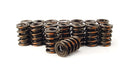 COMP Cams COMP Cams Valve Springs 930-16 Autofit