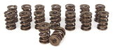 COMP Cams COMP Cams Valve Springs 948-16 Autofit