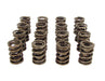 COMP Cams COMP Cams Valve Springs 953-16 Autofit