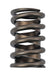 COMP Cams COMP Cams Valve Springs 972-1 Autofit