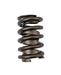 COMP Cams COMP Cams Valve Springs 977-1 Autofit