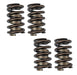 COMP Cams COMP Cams Valve Springs 977-4 Autofit