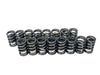 COMP Cams COMP Cams Valve Springs 981-16 Autofit