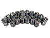 COMP Cams COMP Cams Valve Springs 983-16 Autofit