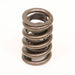 COMP Cams COMP Cams Valve Springs 983-16 Autofit