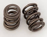 COMP Cams COMP Cams Valve Springs 984-16 Autofit