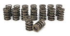 COMP Cams COMP Cams Valve Springs 985-16 Autofit