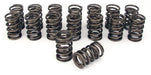 COMP Cams COMP Cams Valve Springs 988-16 Autofit