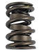 COMP Cams COMP Cams Valve Springs 994-1 Autofit