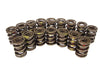 COMP Cams COMP Cams Valve Springs 995-16 Autofit
