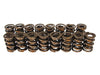 COMP Cams COMP Cams Valve Springs 996-16 Autofit