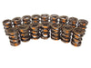 COMP Cams COMP Cams Valve Springs 998-16 Autofit