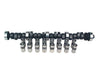 COMP Cams COMP Cams Xtreme Energy Cam and Lifter Kits CL35-246-3 Autofit