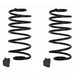 Detroit Speed Inc Detroit Speed Lowering Springs 041813DS Autofit