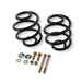 Detroit Speed Inc Detroit Speed Lowering Springs 041817PDS Autofit