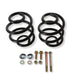Detroit Speed Inc Detroit Speed Lowering Springs 041817PDS Autofit