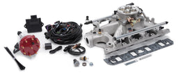Edelbrock Edelbrock Pro-Flo 4 EFI Systems 35950 Autofit