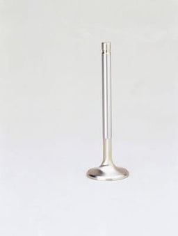 Edelbrock Edelbrock Stainless Steel Valves 9317 Autofit