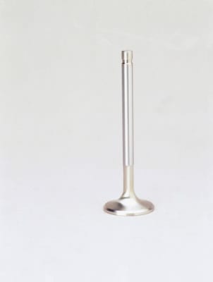 Edelbrock Edelbrock Stainless Steel Valves 9317 Autofit